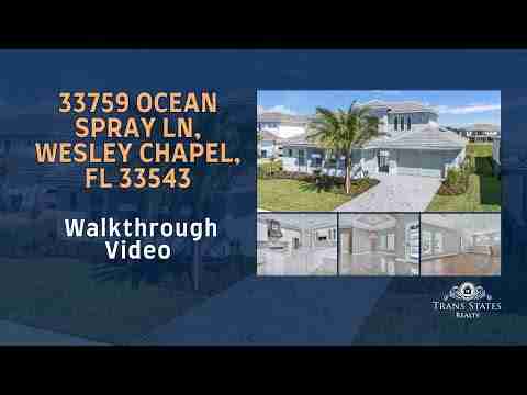 33759 Ocean Spray Lane Wesley Chapel, FL 33543 Walkthrough Video